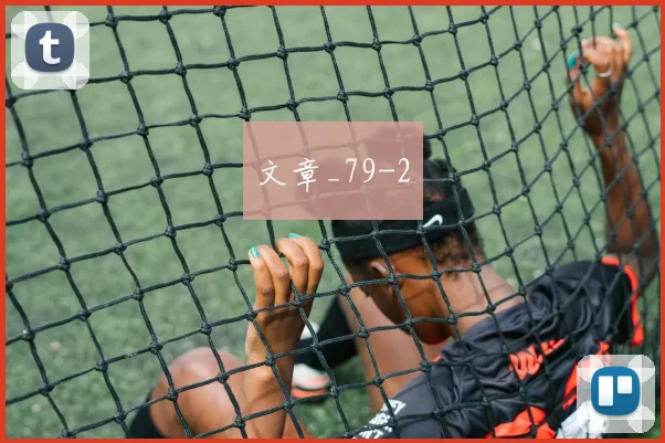 文章_79